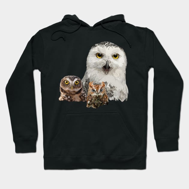 Snowy Owl, Owl and Little Owl Hoodie by obscurite